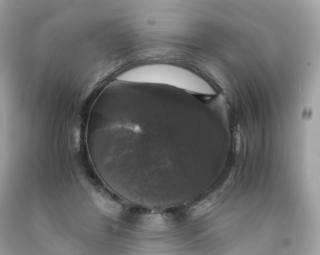 X0000091480404200709061844