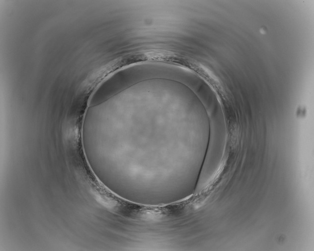 X0000091480405200709061844