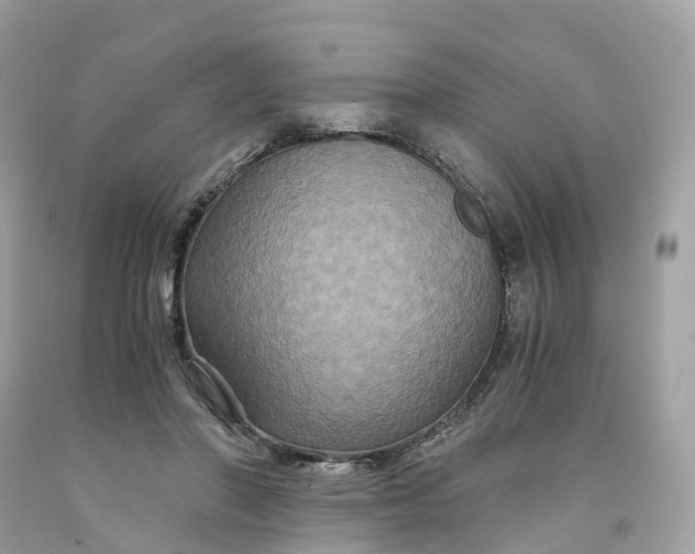 X0000091480406200709061843