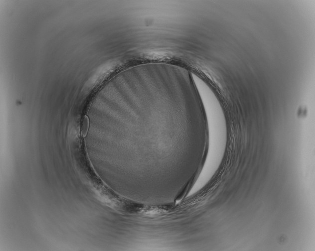 X0000091480407200709061843