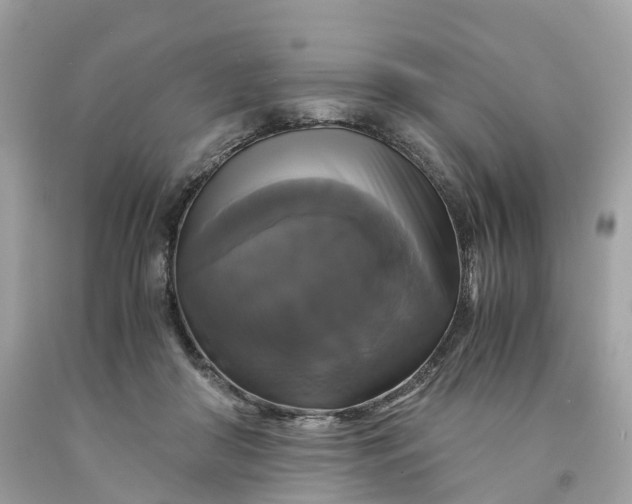 X0000091480410200709061843