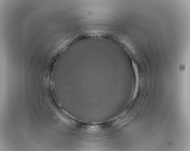 X0000091480411200709061843