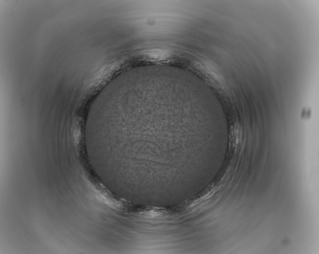 X0000091480412200709061843