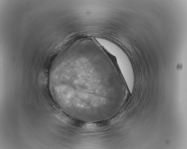 X0000091480413200709061843