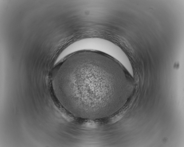 X0000091480416200709061843