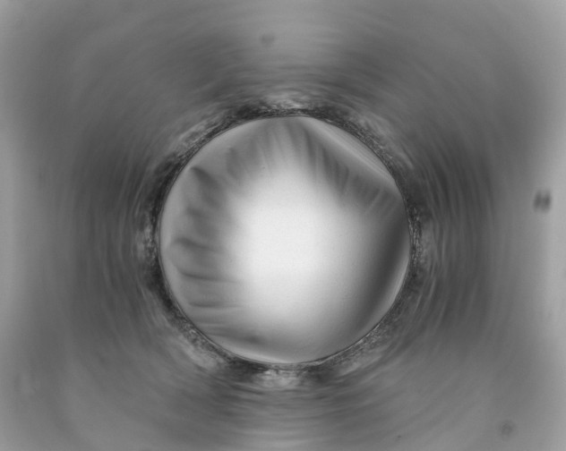 X0000091480418200709061843