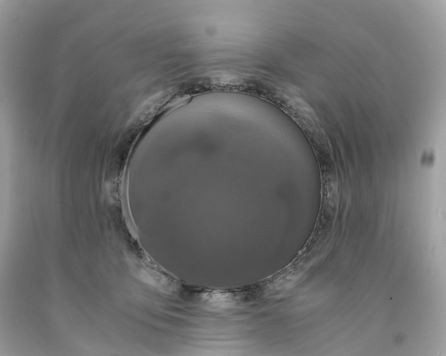 X0000091480419200709061843