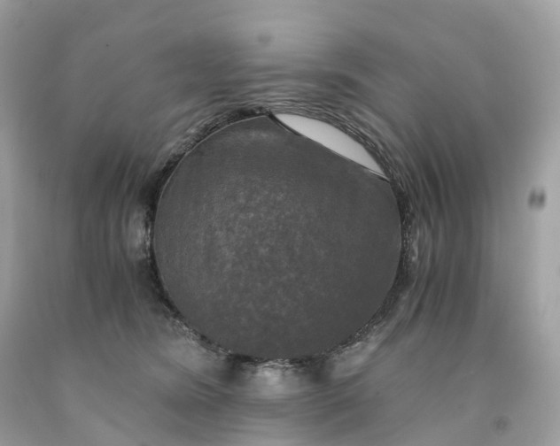 X0000091480420200709061843