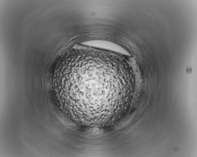 X0000091480421200709061843