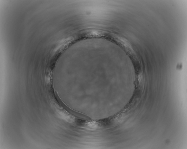 X0000091480423200709061843