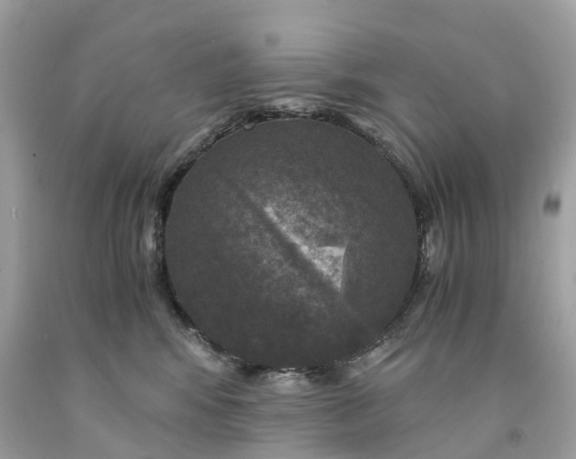 X0000091480424200709061843