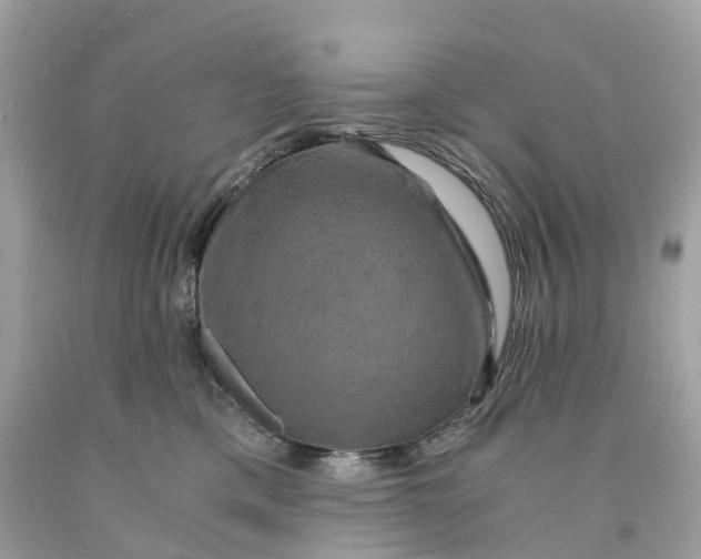 X0000091480425200709061843