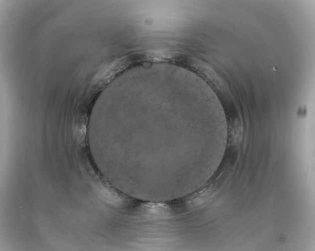 X0000091480427200709061843