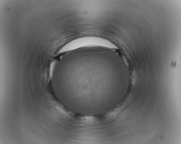 X0000091480428200709061843