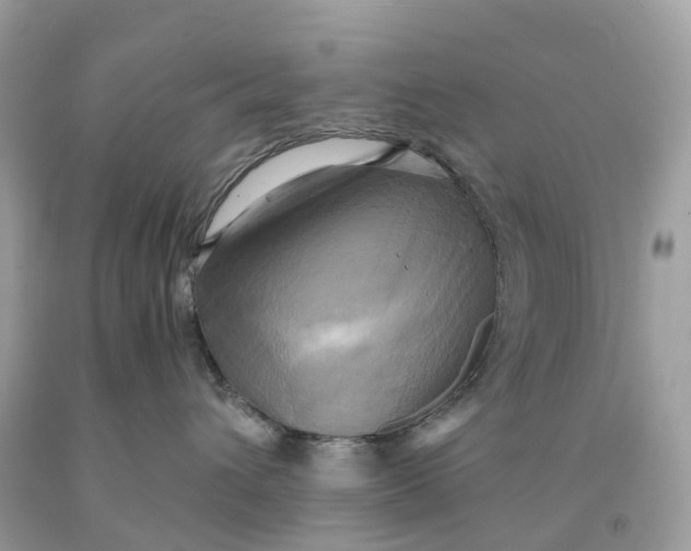 X0000091480432200709061843