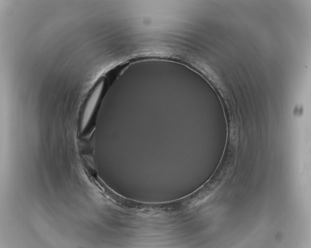 X0000091480434200709061843