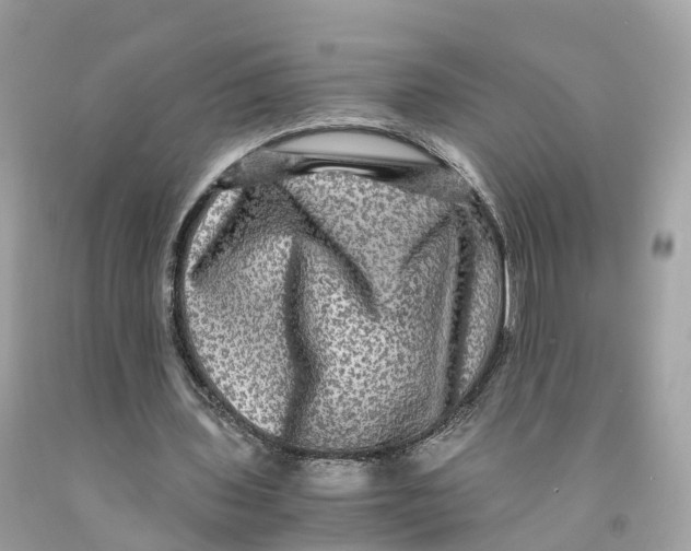 X0000091480435200709061843