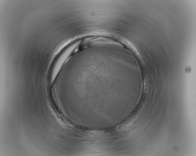 X0000091480436200709061843