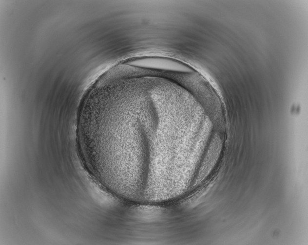 X0000091480437200709061843