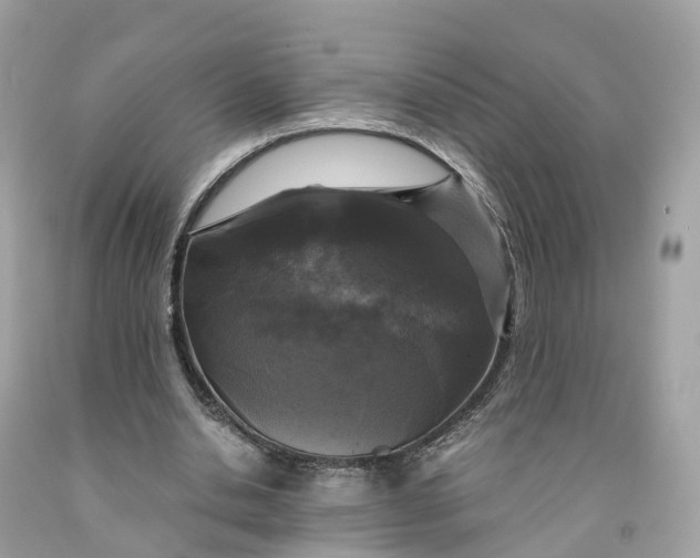 X0000091480438200709061843