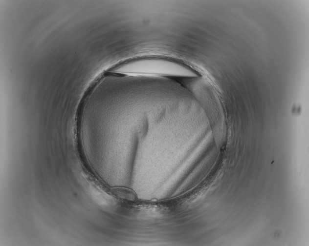 X0000091480439200709061843