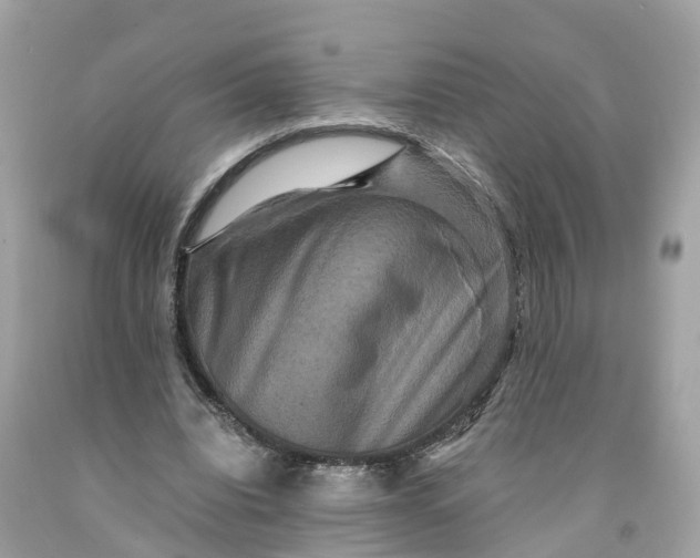 X0000091480440200709061843