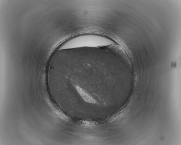 X0000091480442200709061843