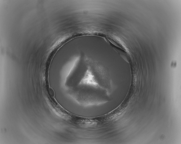 X0000091480443200709061843