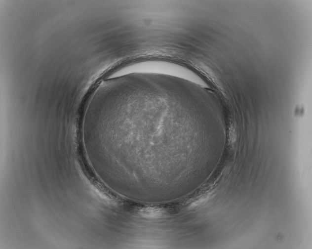 X0000091480444200709061843