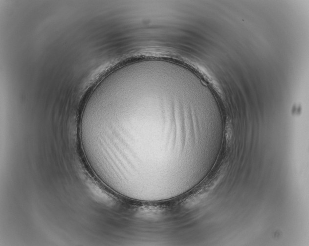 X0000091480445200709061843