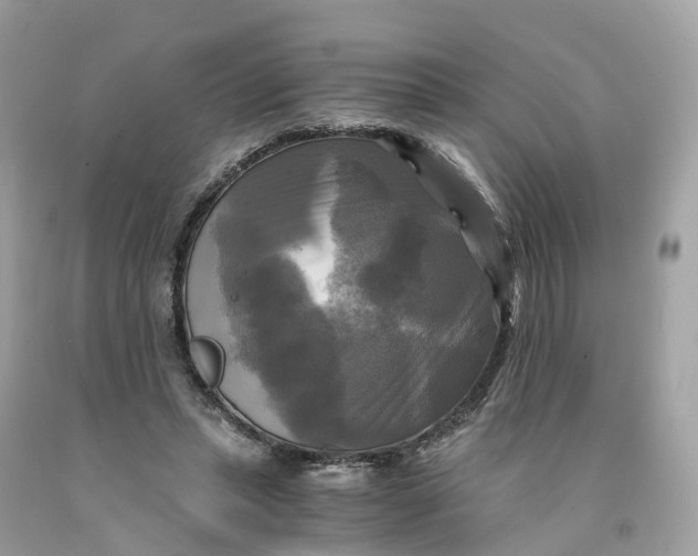 X0000091480447200709061843