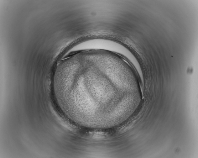 X0000091480448200709061843