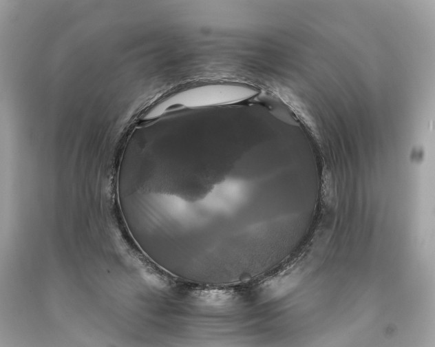 X0000091480449200709061843