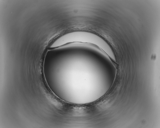 X0000091480450200709061843