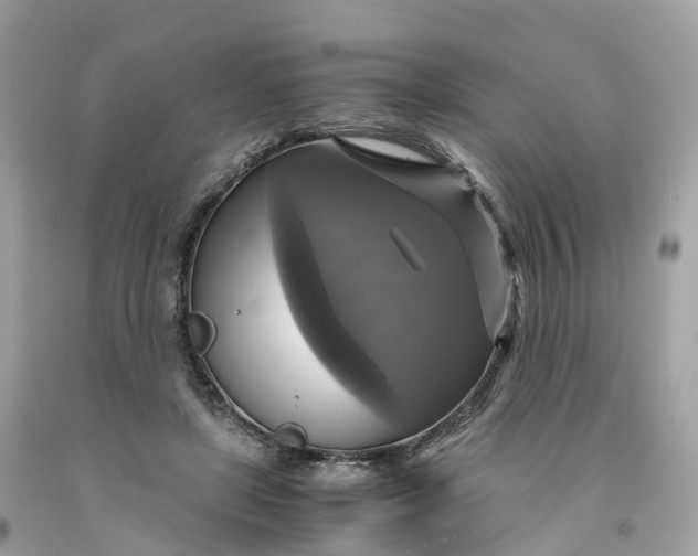 X0000091480451200709061843