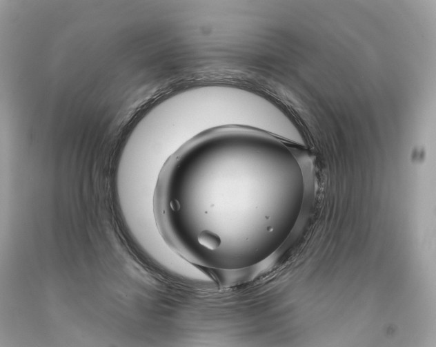 X0000091480452200709061843