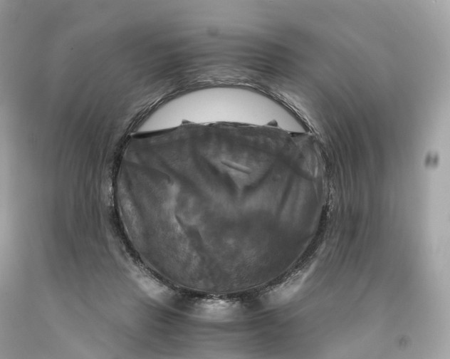 X0000091480453200709061843