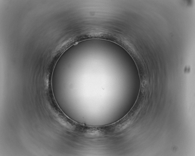 X0000091480454200709061843