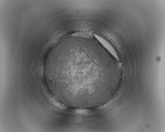 X0000091480457200709061843