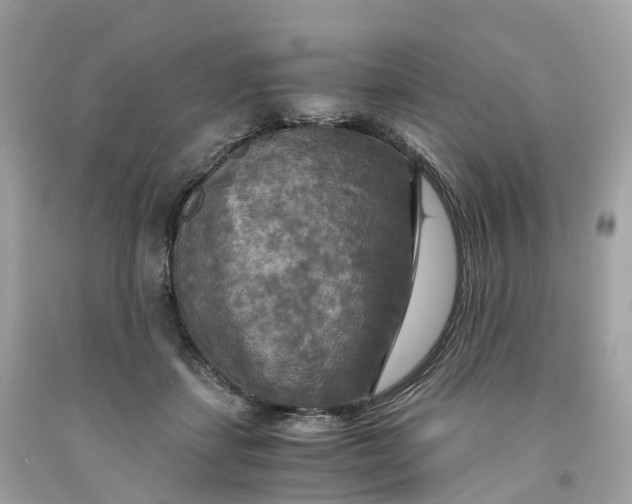 X0000091480459200709061843