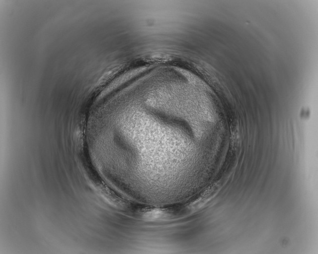 X0000091480460200709061843