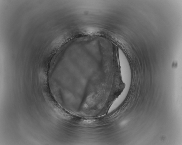 X0000091480461200709061843