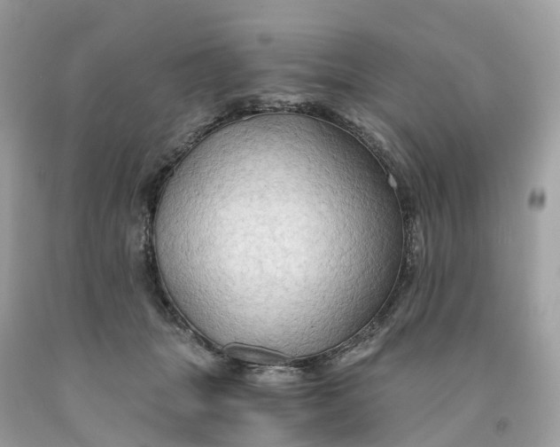 X0000091480463200709061843