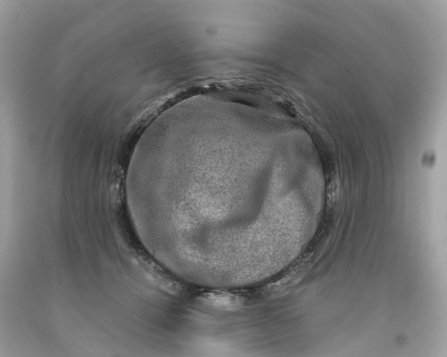 X0000091480464200709061843