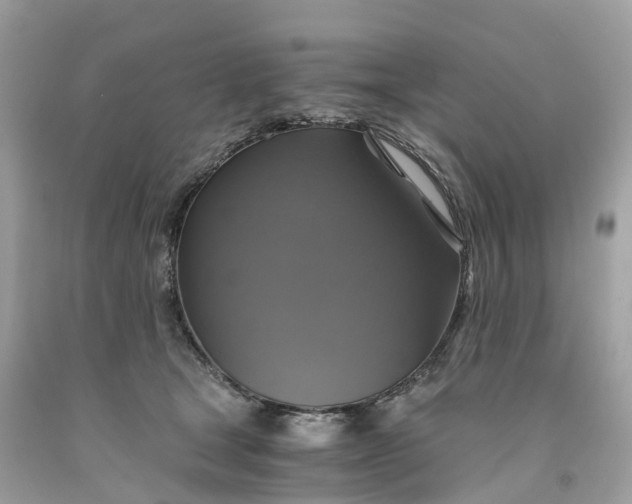 X0000091480465200709061843