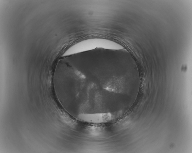 X0000091480466200709061843