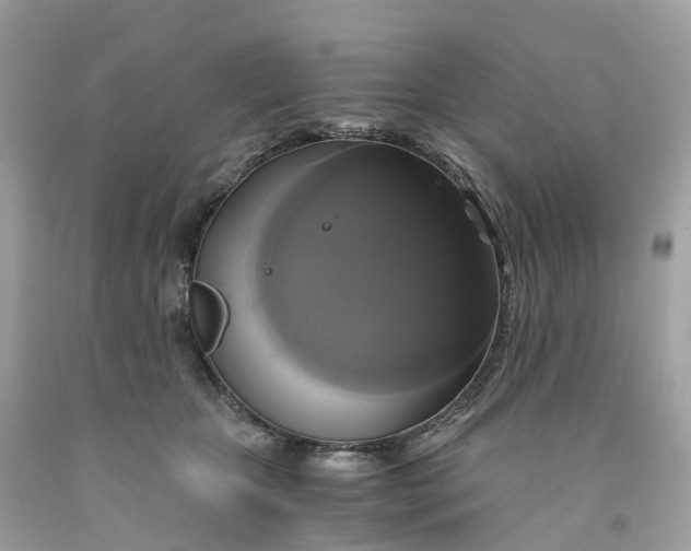 X0000091480467200709061843