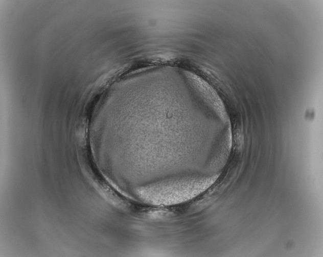 X0000091480468200709061843