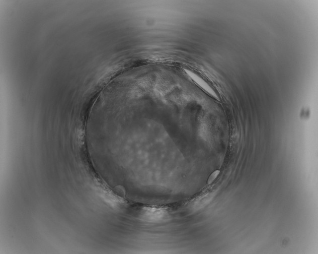 X0000091480469200709061843