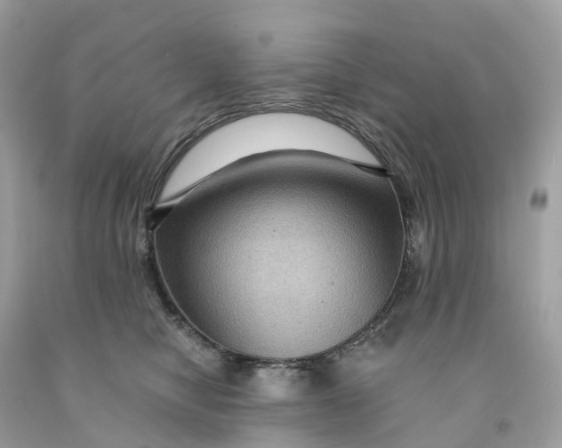 X0000091480470200709061843